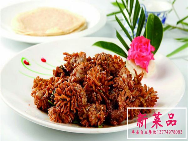 孜然羊寶